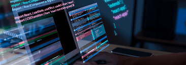 Custom Web Application Development